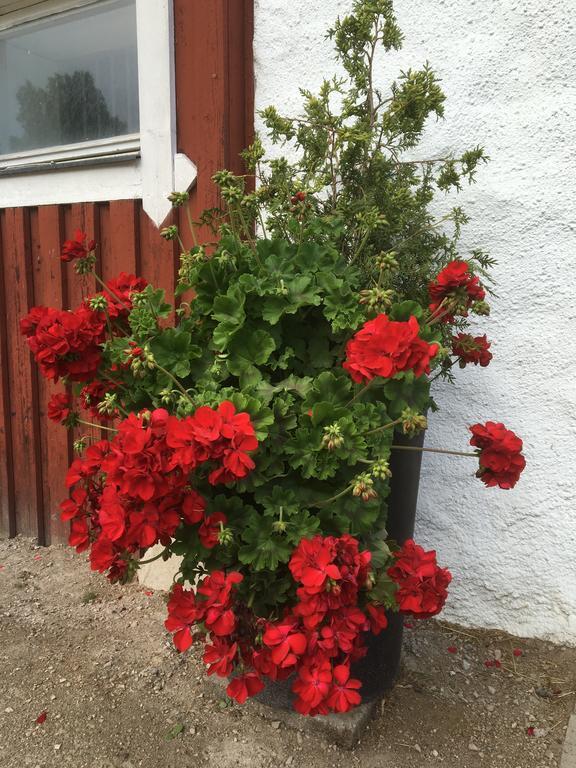 Torpgarden Oennerudsvaegen 56 Appartement Torsby Buitenkant foto